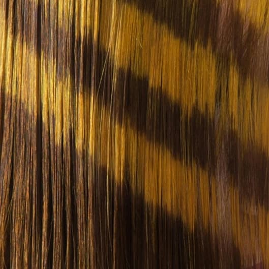 Haircut + Gloss Package at Hair by Chealsea in Greenville, SC